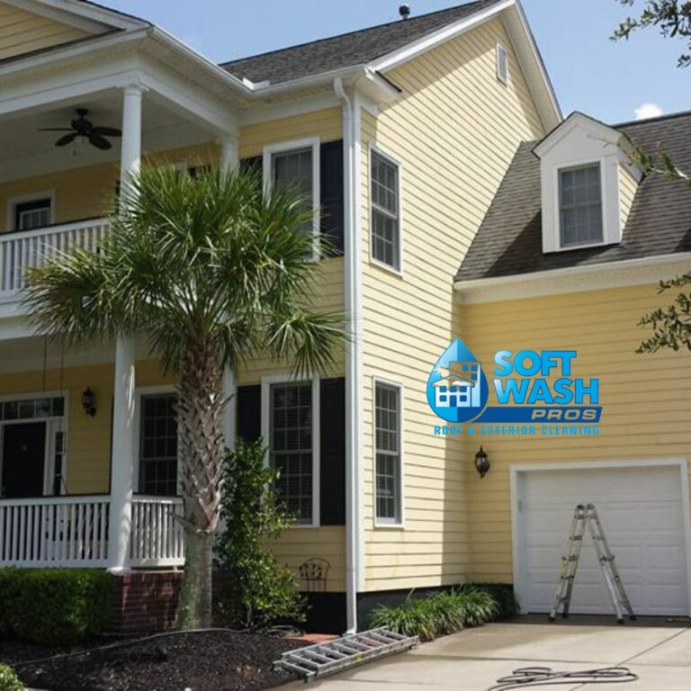Unveil Your Home’s True Beauty with Soft Wash Pros in Summerville, SC