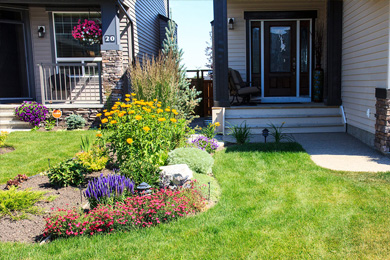 Transform Your Space with Professional Landscaping Services in 2023